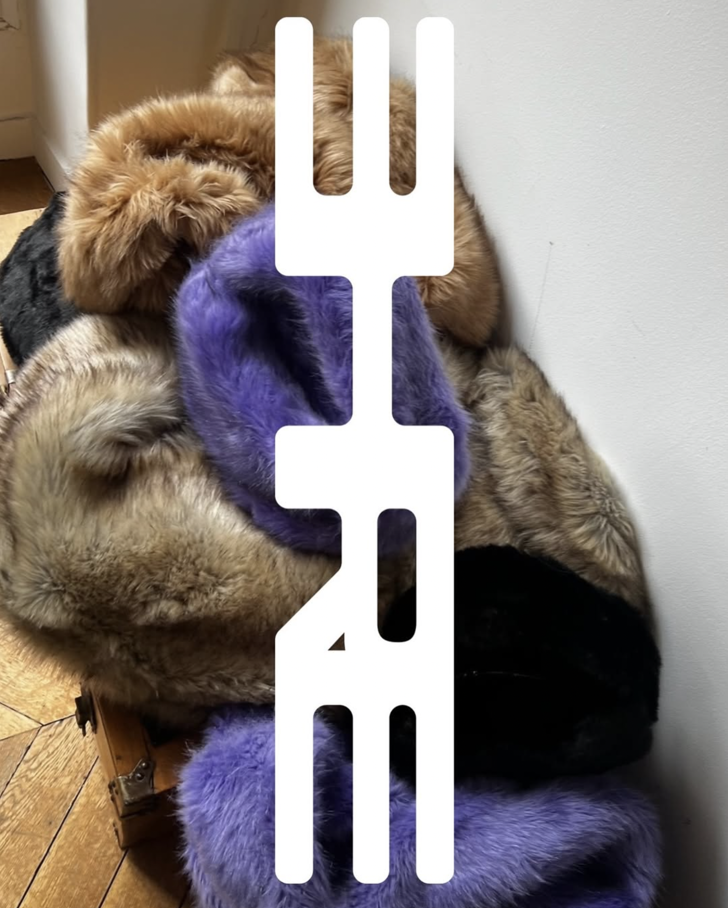 Capture d’écran 2026-03-03 à 23.07.11